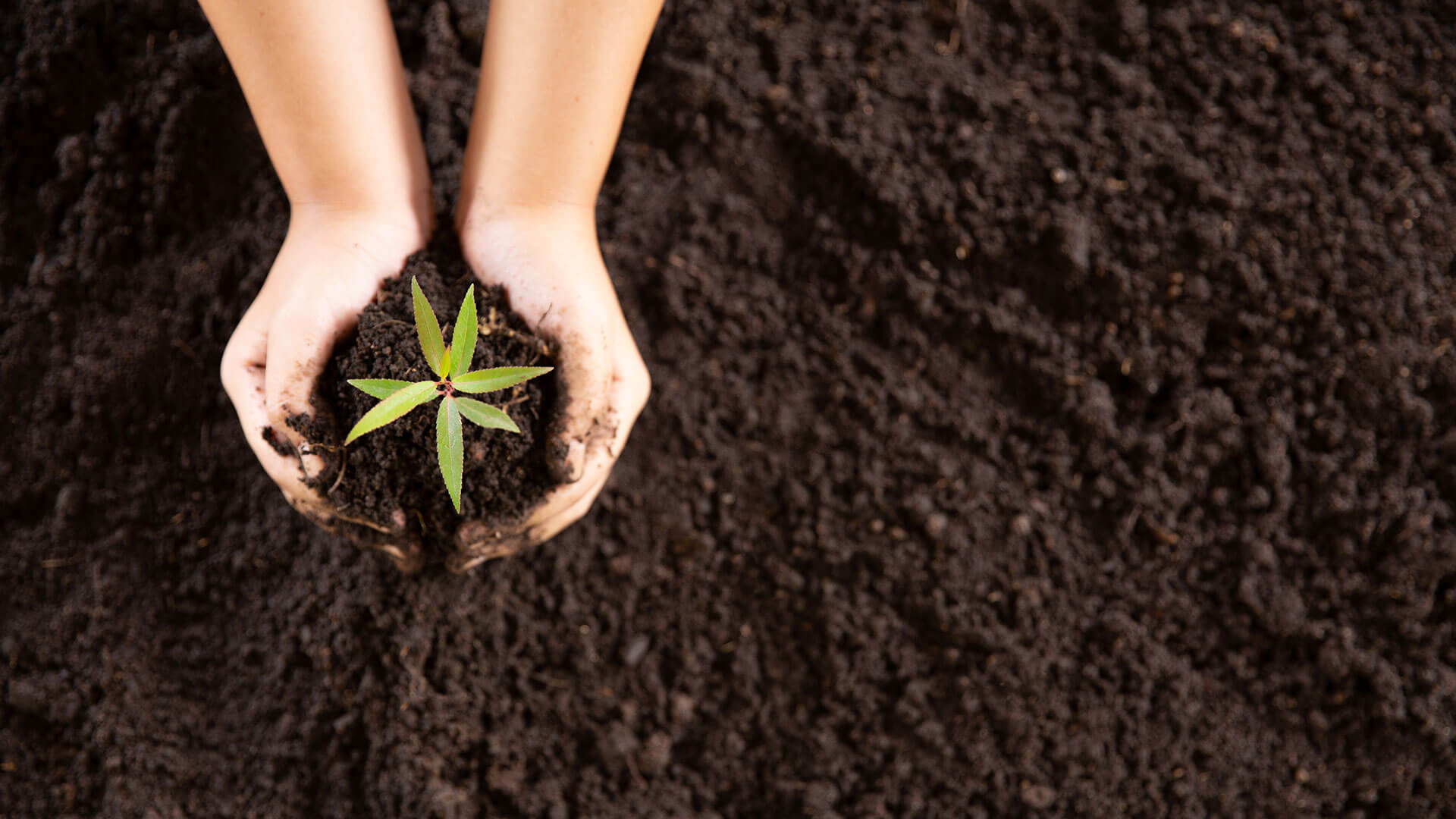 Supporting soil through sustainable procurement